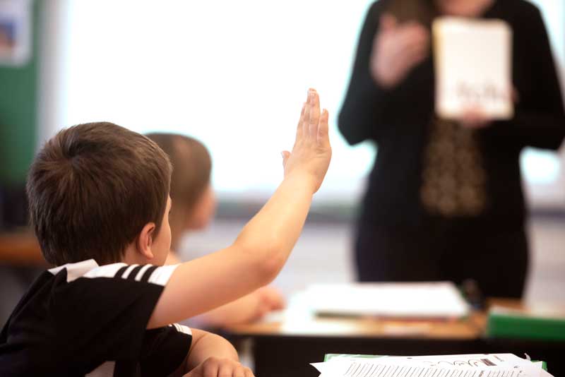 Boy raising his hand in class