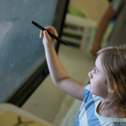 Young girl student at board