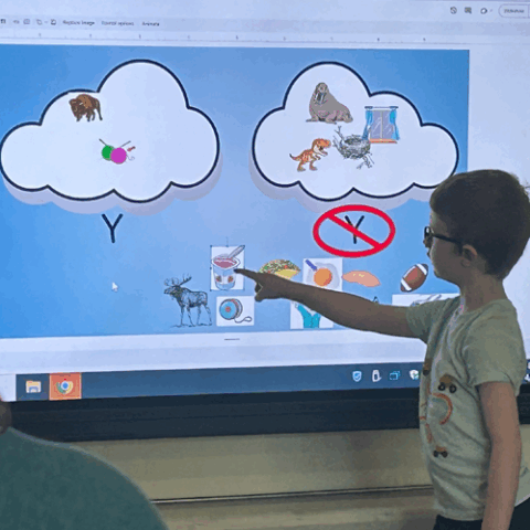 Boy student at classroom monitor